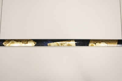 8479/1229